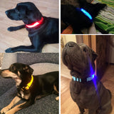 Safety Glowing Pet Collar With LED By Project Pet Lovers Club