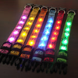 Safety Pet Collar With LED And Printed Design By Project Pet Lovers Club