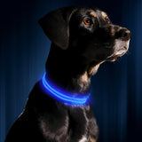 Safety Pet Collar With LED And Printed Design By Project Pet Lovers Club