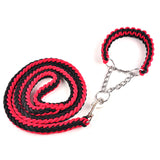 Big Dog Plaited Leash And Collar Set